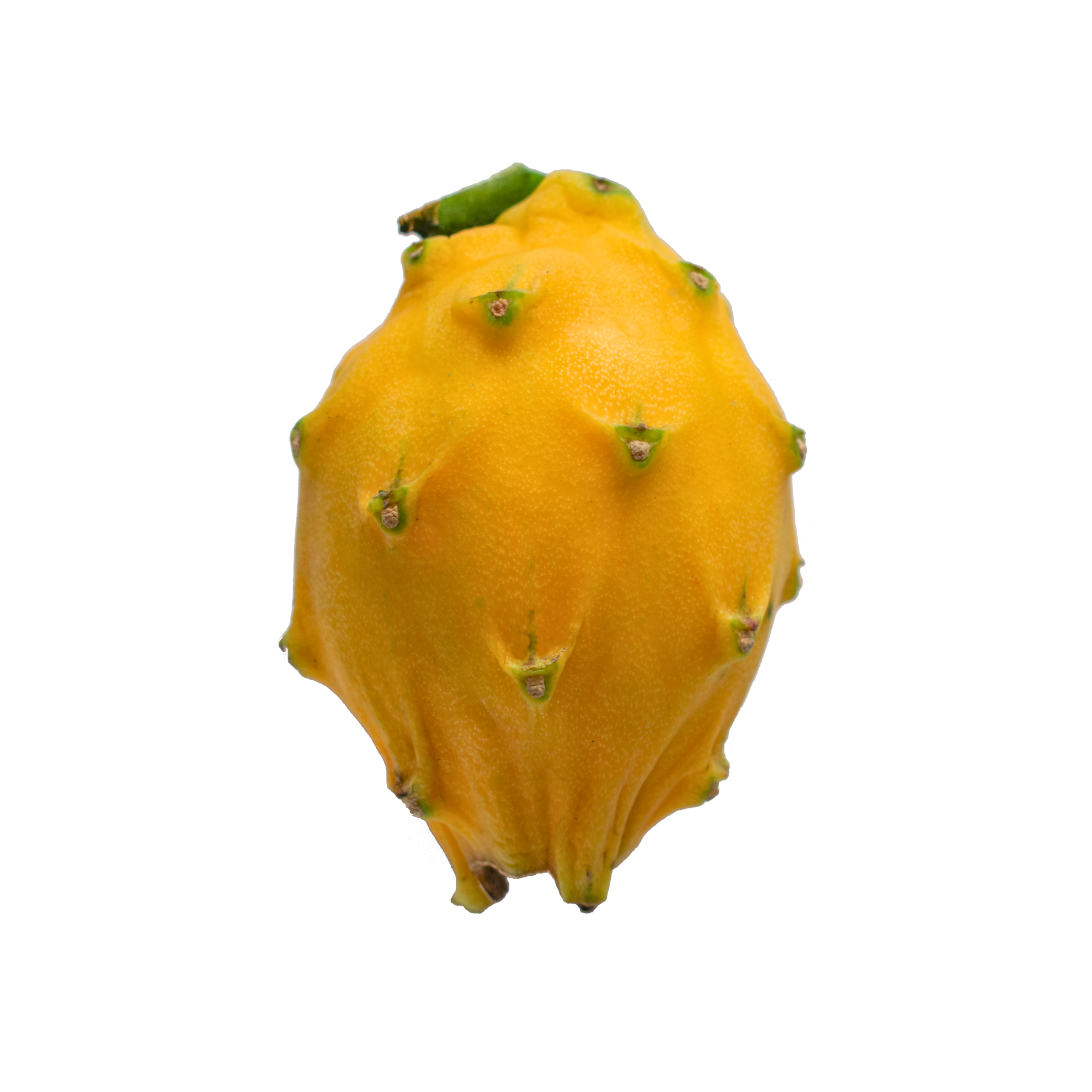 Pitahaya Amarilla
